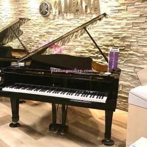 Đàn Grand Piano Yamaha G1E [Grand Piano]