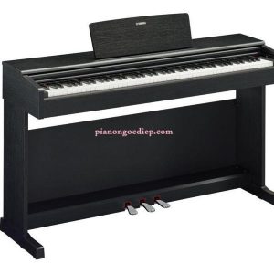 Đàn Piano Điện Yamaha YDP-145 Arius [Digital Piano]