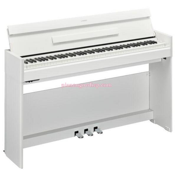 Đàn Piano Điện Yamaha YDP-S55 Arius [Digital Piano]