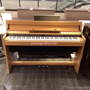 Đàn Piano Điện Roland DP603 [Digital Piano]
