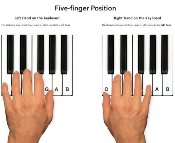 Khám Phá Vị Trí Các Nốt Nhạc Trên Đàn Piano: Bước Đầu Đến Thế Giới Âm Nhạc