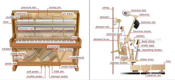 Khám Phá Cấu Trúc Đàn Piano Cơ: Âm Thanh Đỉnh Cao Đang Chờ Đợi Bạn