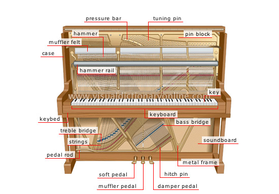 Khám Phá Cấu Trúc Khung Sườn Piano Đứng – Bí Quyết Chọn Đàn Hoàn Hảo